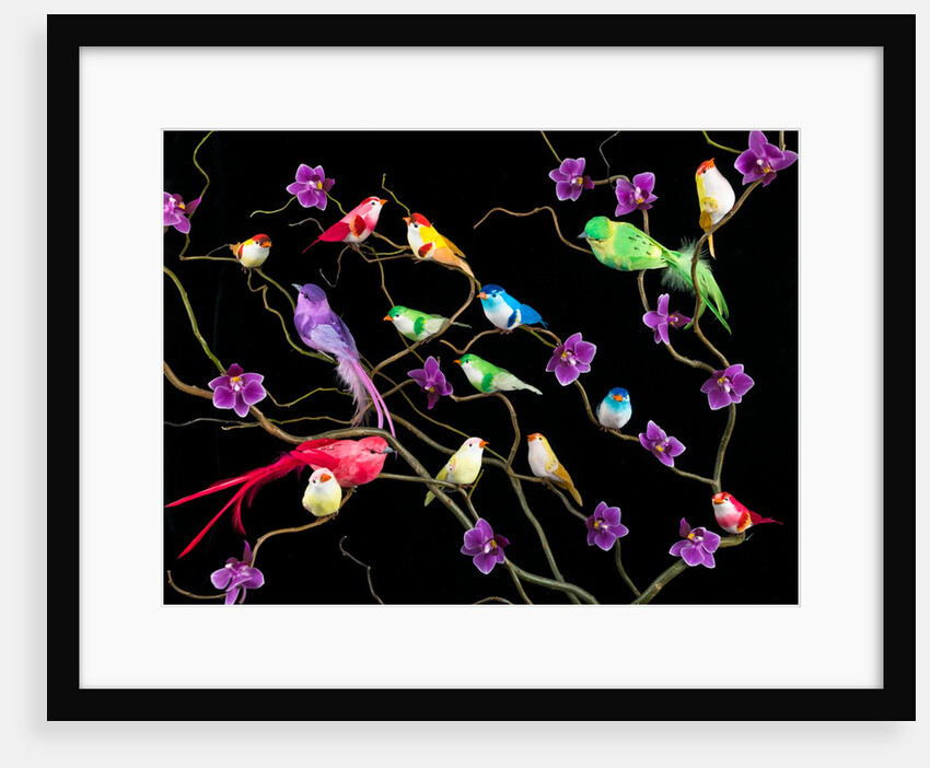 Fake birds on branches by Assaf Frank